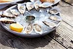 fresh raw oysters served with lemon and sauce at the plate with ice