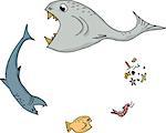 Cartoon of ocean food chain over white background