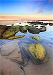Beautiful sunset at unspoilt Toowoon Bay beach at low tide exposing the mossy green rocks on the reef shelf.  Australia.  Focus to foreground only