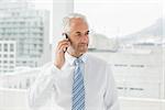 Smiling mature businessman using mobile phone in a bright office