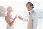 Newlyweds toasting with champagne smiling at camera at the beach