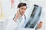 Male doctor looking at spine x-ray picture while using the telephone at medical office