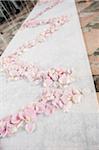 Flower Petals on Floor at Wedding, Toronto, Ontario, Canada