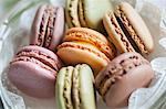 Close up still life of colorful macaroons