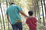 A man and a young boy walking down an avenue of trees.
