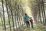 A man and a young boy walking down an avenue of trees.