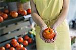 An organic fruit and vegetable farm. A woman holding a tomato.