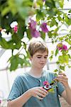 A young boy working in an organic nursery greenhouse.