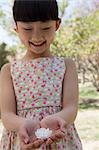 Little smiling girl looking down at a cherry blossom in her cupped hands in a park in springtime