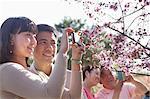 Smiling couple taking a photograph of a branch with cherry blossoms, outside in a park in the springtime