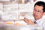 Pharmacist taking down and examining prescription medication in a pharmacy