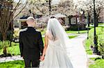 Close-up of backview of bride in wedding gown with bridegroom, holding hands and walking down pathway in park in Spring on Wedding Day, Canada