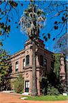 Building and palm tree, Botanical Gardens, Buenos Aires, Argentina