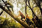 Five young women climbing tree in woods