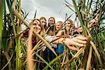 Five young women peering through reeds