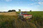 A pick up truck in a rural field