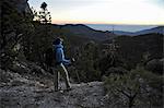 Female hiker looking at morning view, Mount Charleston, Nevada, USA