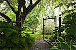 Path and open garden gate in spring