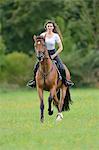 Teenage girl riding a Mecklenburger horse on a paddock