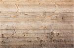 texture of pine wood panel