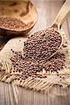 Lentils wooden spoon on wooden background. Healthy food.