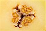 Macro photo of yellow melon seeds inside the fruit