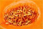 Seeds inside of a yellow melon, background