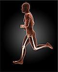 3D render of a running male medical skeleton