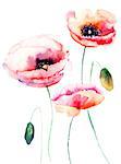 Colorful pink flower, watercolor illustration