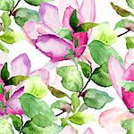 Seamless pattern with Magnolia, watercolor illustration