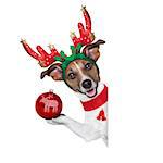 reindeer dog behind a blank banner with a christmas ball