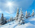 Morning winter mountain landscape with snow covered fir trees in front and sunshine.