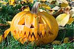 Halloween Pumpkin on grass and autumn leaves