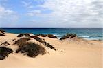 The desert and the sea on the Fuerteventura island, Spain.