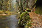 A small river flows through a wild landscape with rocks