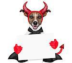 devil dog holding a blank white banner