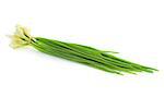 Bunch of fresh green Chives  /  isolated on white background