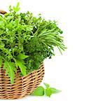 Collection of Fresh Spicy Herbs in Basket / isolated on white / thyme, basil, oregano, parsley, marjoram, rucola, sage and rosemary herbs / Vertical composition