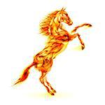 Fire horse rearing up. Illustration on white background.