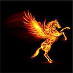 Fire Pegasus rearing up. Illustration on black background