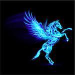 Blue fire Pegasus rearing up. Illustration on black background