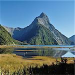 landscape of high mountain glacier at milford sound, New Zealand