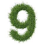 Arabic numeral made of grass. Isolated render on a white background