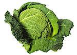 Green savoy cabbage isolated on white background