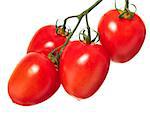 Red tomatoes isolated on pure white background