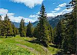 Alpine view with yellow dandelion flowers on summer mountain slope (Austria)