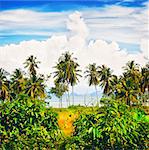 tropical beach with palms, Andaman Sea, Thailand