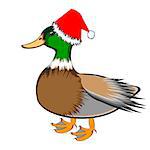 A Christmas duck isolated on a white background. Vector-art illustration