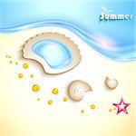 Background with starfish and seashells in the sand at the beach