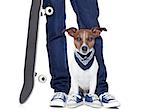 dog owner with dog both wearing sneakers and a skateboard